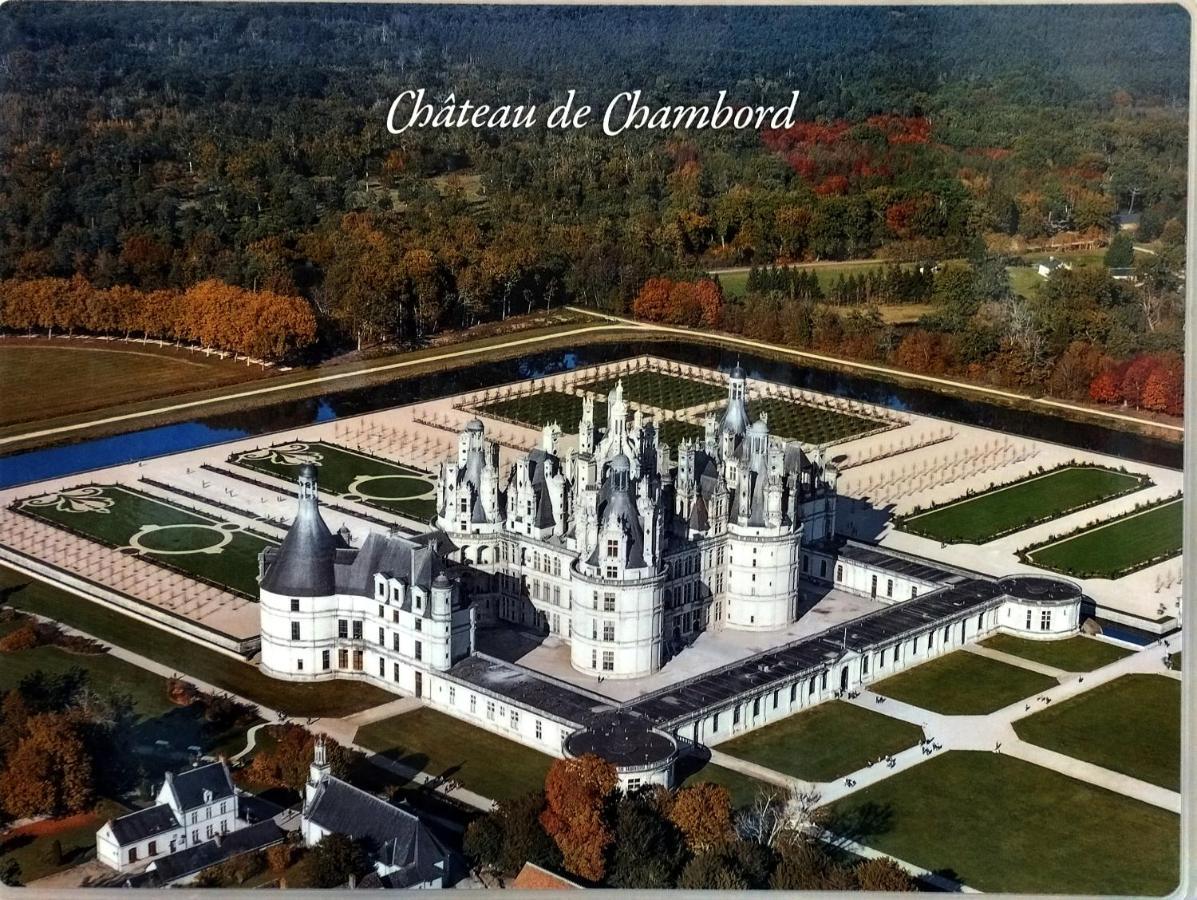Gite Du Domaine De Juliette Location Proche Du Zoo De Beauval Et Des Chateaux Villa Selles-sur-Cher Buitenkant foto